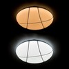 Миниатюра фото потолочный светодиодный светильник arte lamp a2677pl-72cc | 220svet.ru